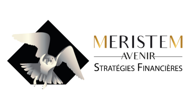 logo MERISTEM Avenir - Stratégies financières